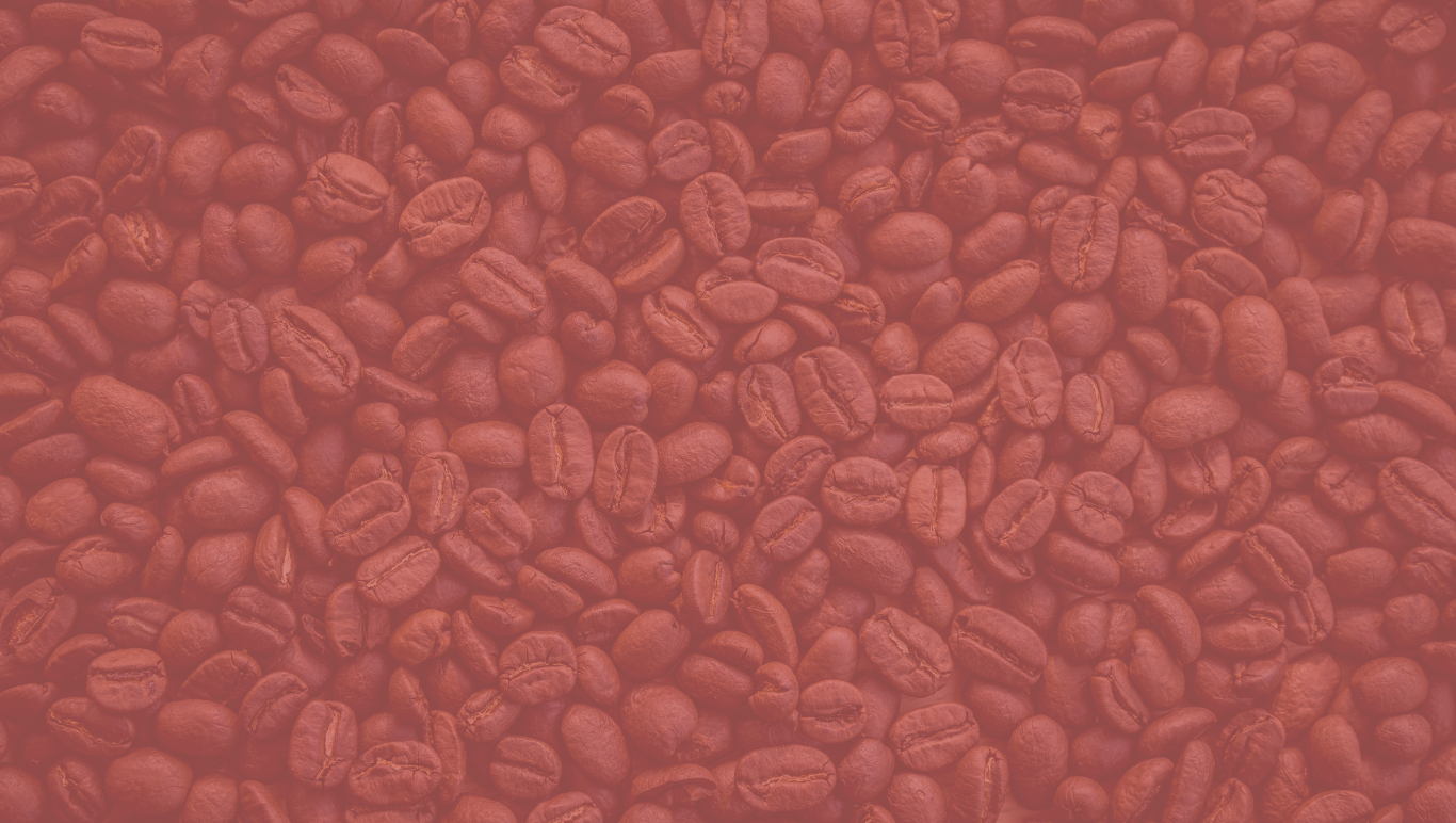 Hava Java brand identity