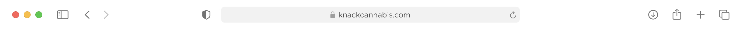 Knack Cannabis brand identity