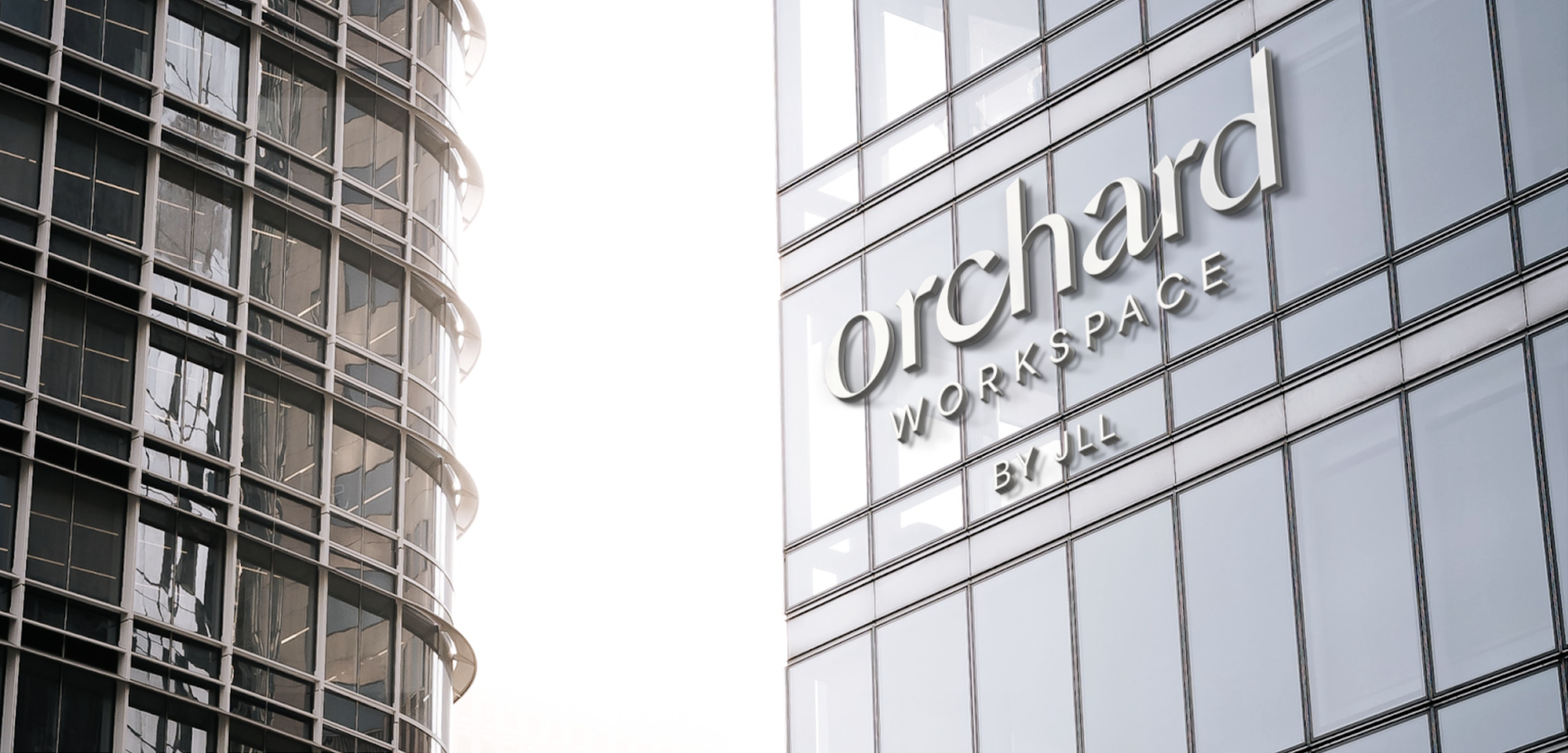 Orchard brand identity