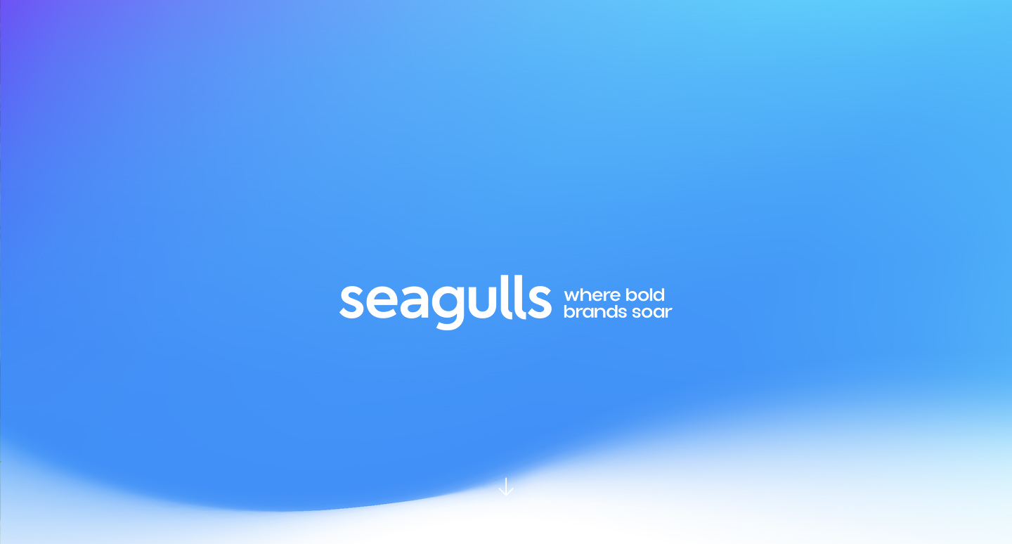 Seagulls brand identity case study